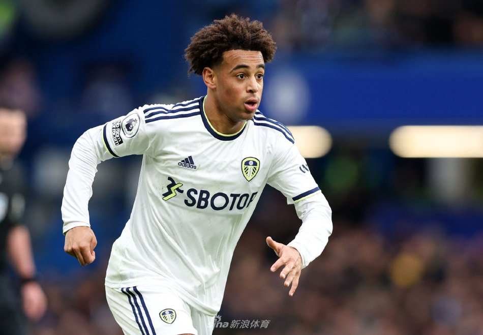 在引进知名 在引进知名